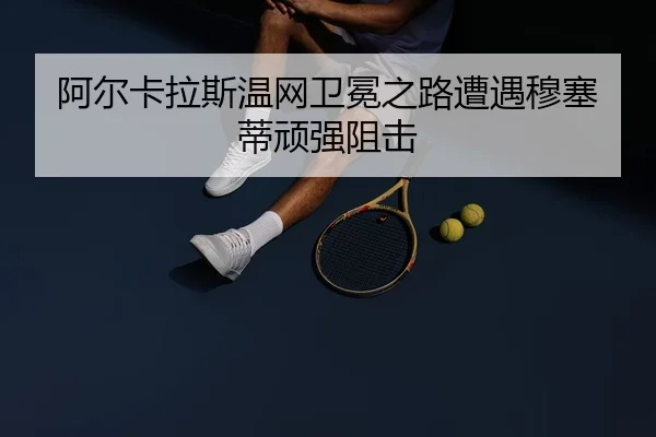 a-er-ka-la-si-wen-wang-wei-mian-zhi-lu-zao-yu-mu-sai-di-wan-qiang-zu-ji-2-759.jpg